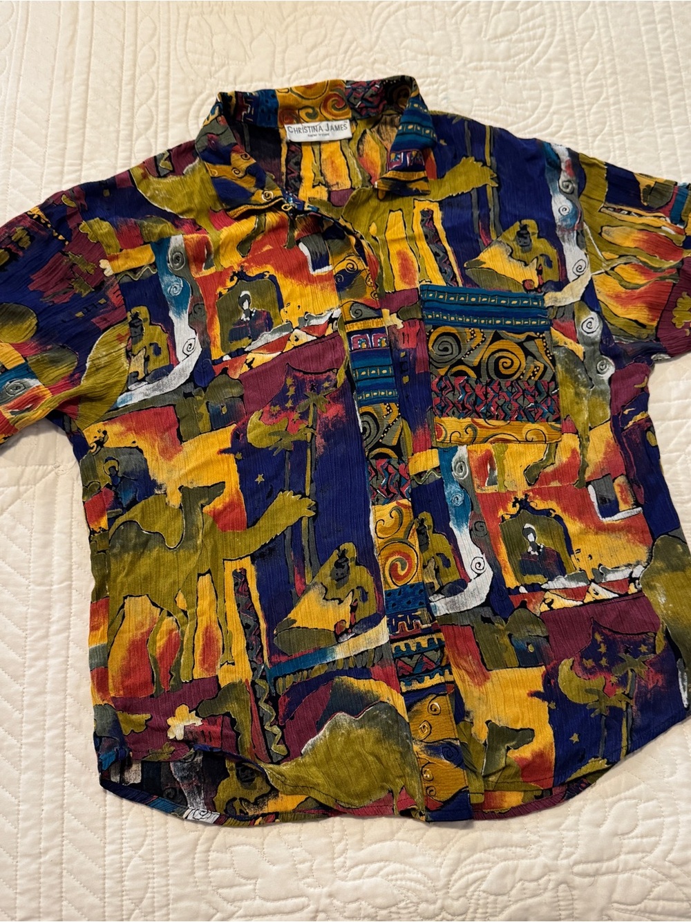 Christina Bold Multicolor Abstract Button-Down Shirt
